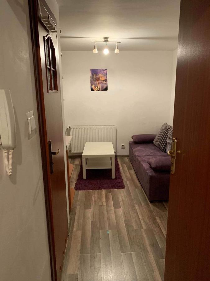 شقة كراكوفيا  في Cozy Studio المظهر الخارجي الصورة